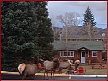   Misty Mountain Lodge